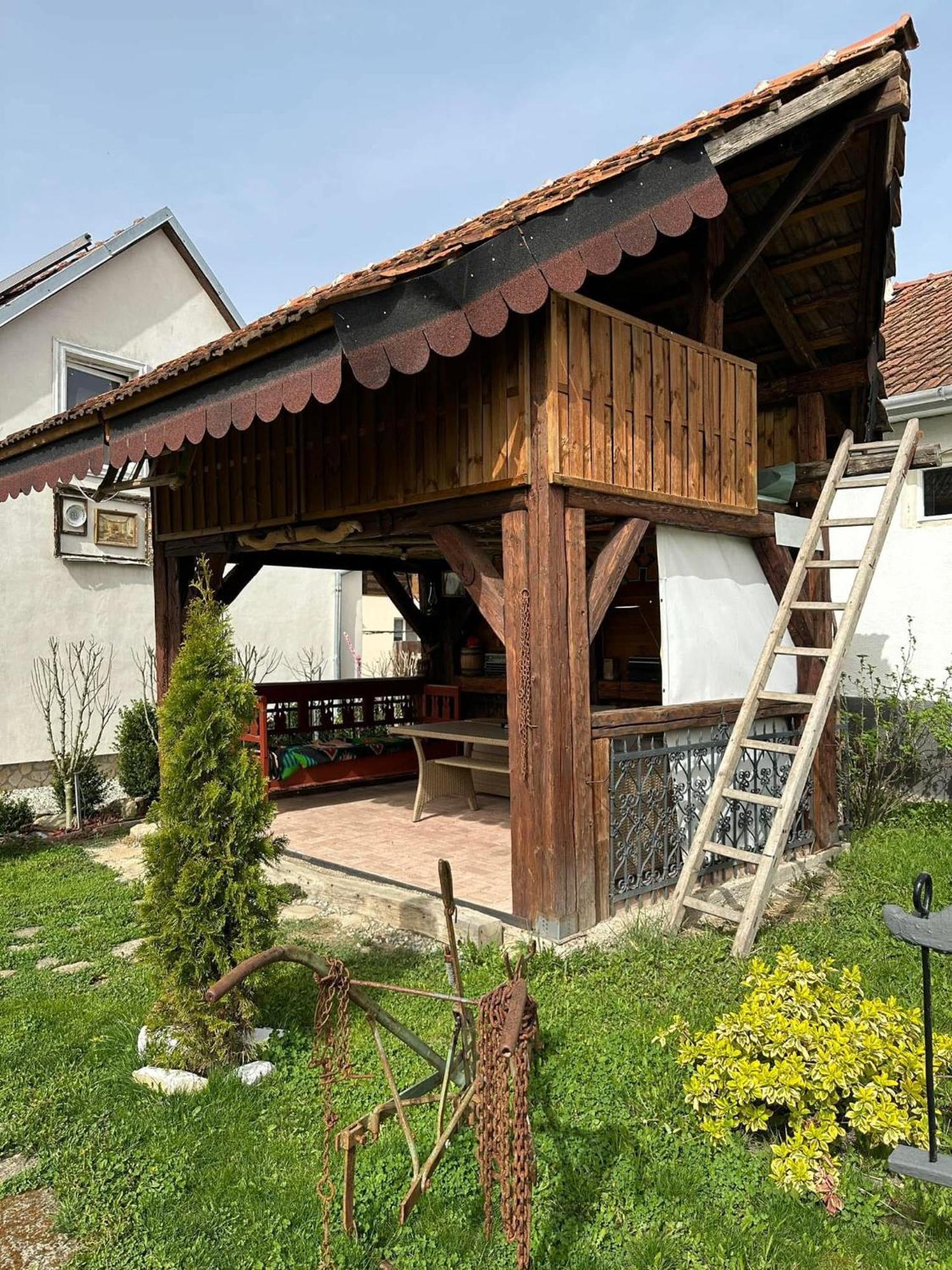 Апартаменты Casa Cezara Silvasu de Jos Экстерьер фото